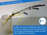 "Chronický únavový syndrom" - jak se s ním žije